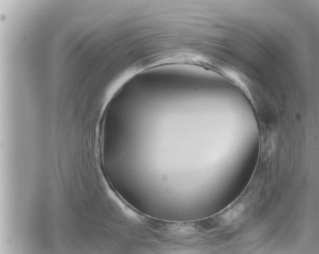 X0000062171103200512121234