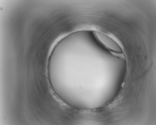 X0000062171104200512121234