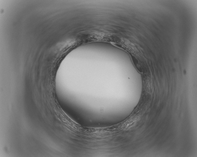 X0000062171105200512121233