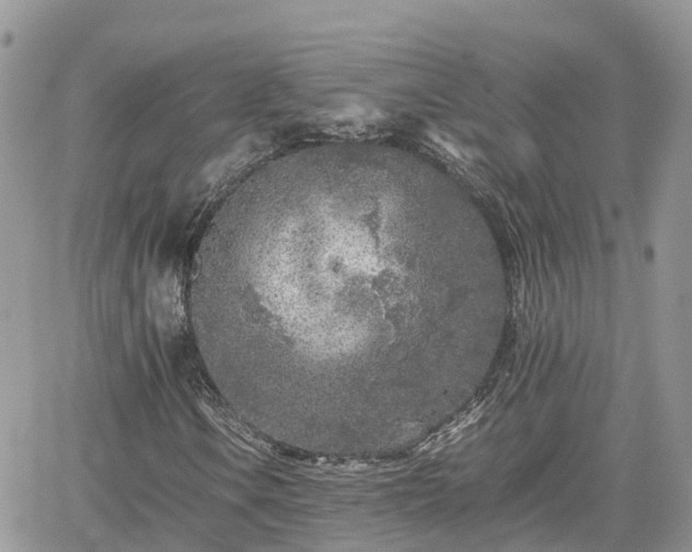 X0000062171106200512121233