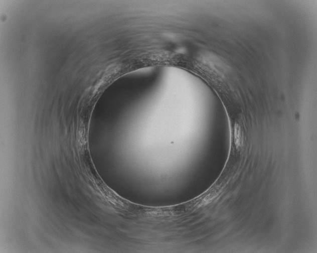 X0000062171107200512121233