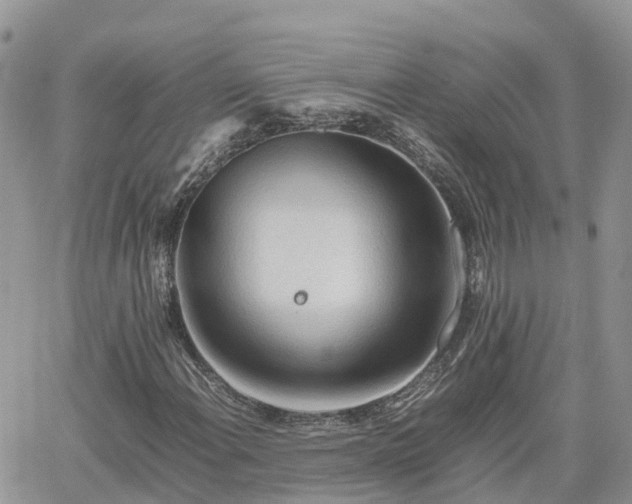 X0000062171108200512121233