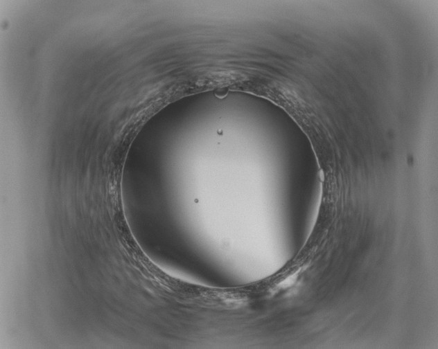 X0000062171109200512121233