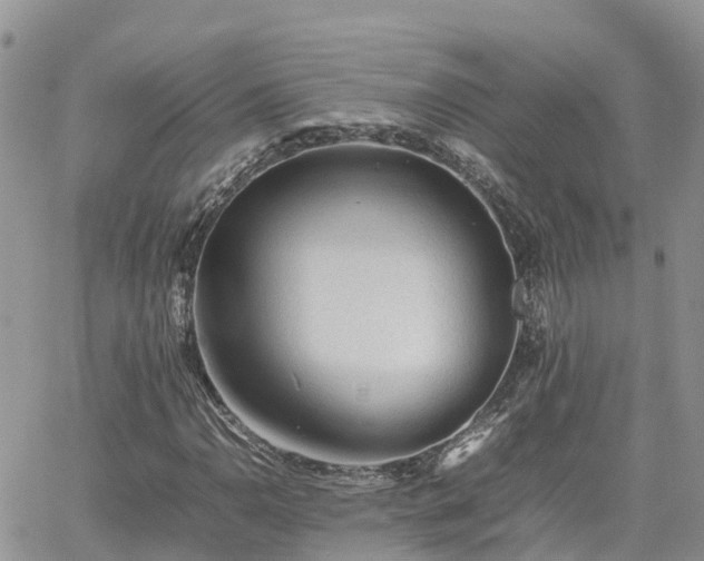 X0000062171110200512121233