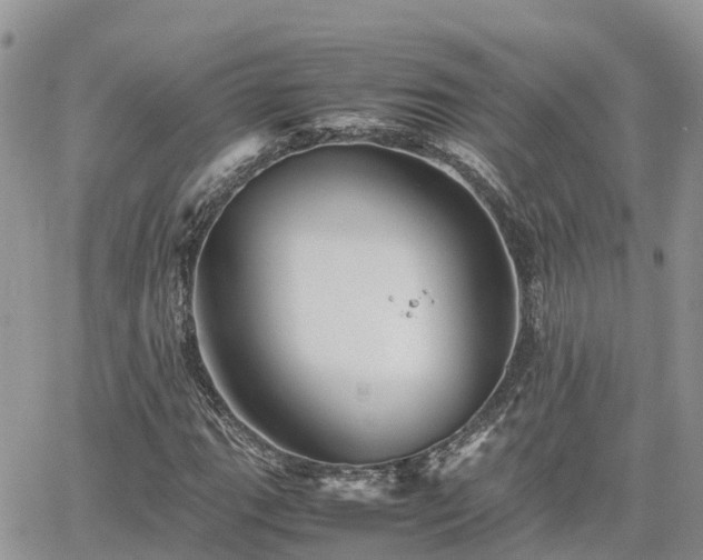 X0000062171111200512121233