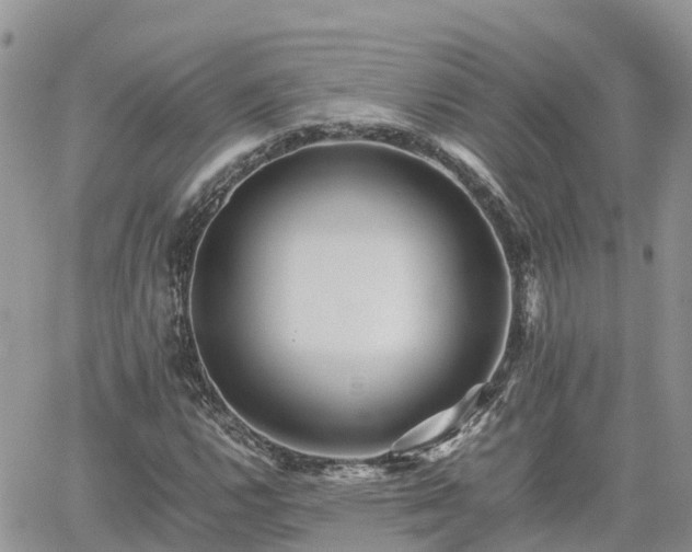 X0000062171112200512121233