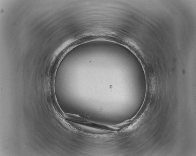 X0000062171114200512121233