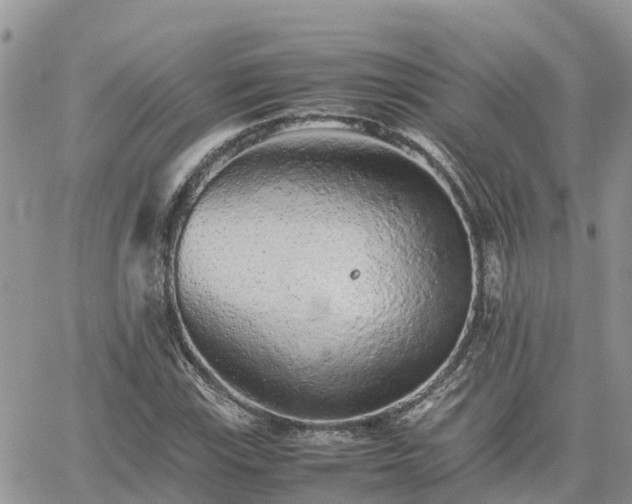 X0000062171115200512121233