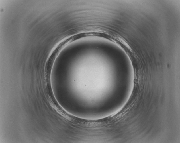 X0000062171116200512121233