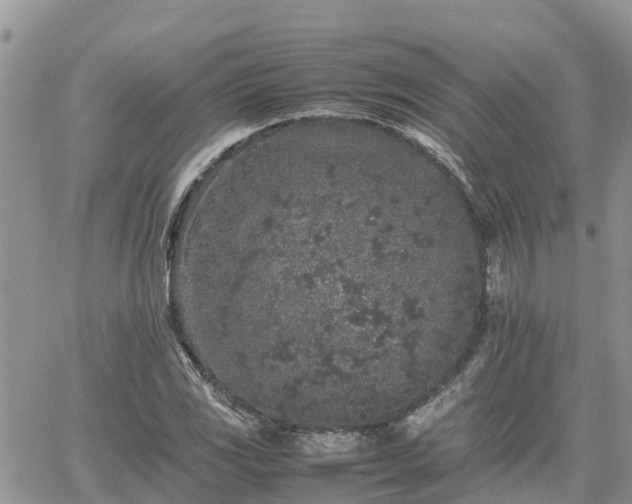 X0000062171117200512121233