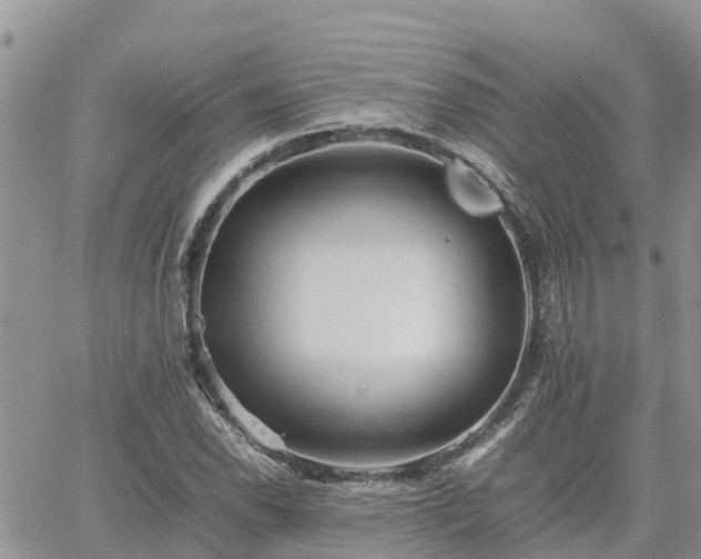 X0000062171118200512121233