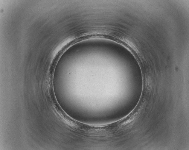 X0000062171119200512121233