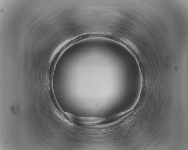 X0000062171120200512121233