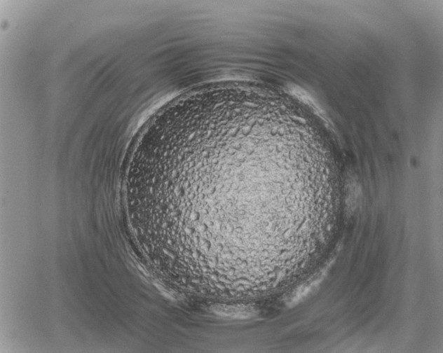 X0000062171121200512121233