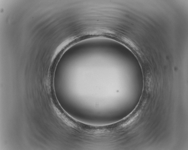 X0000062171122200512121233