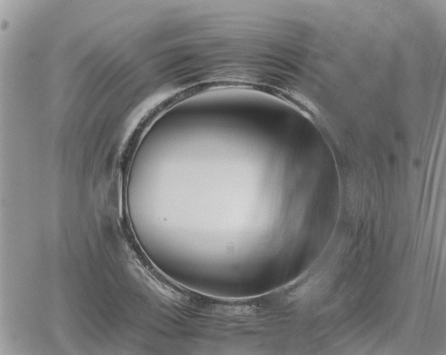 X0000062171123200512121233