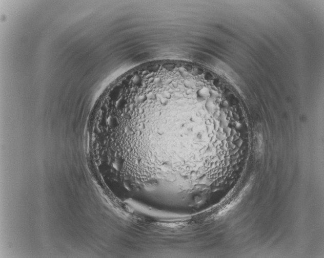 X0000062171125200512121233