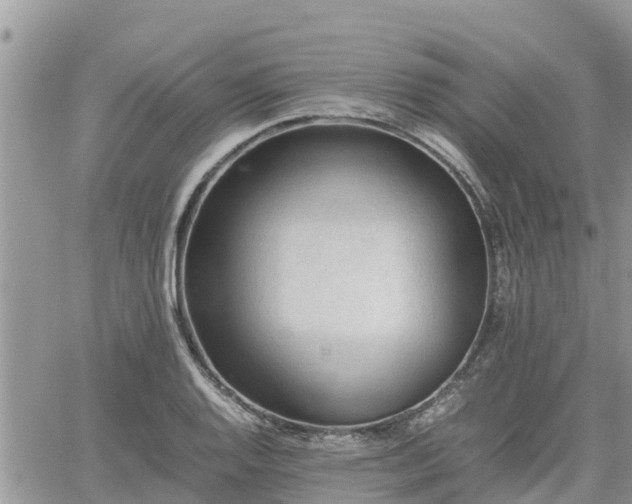 X0000062171128200512121233