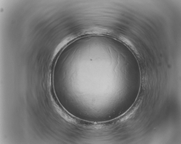 X0000062171130200512121233