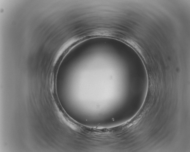 X0000062171131200512121233