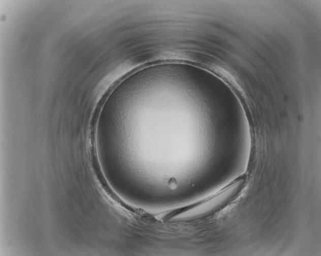 X0000062171133200512121233