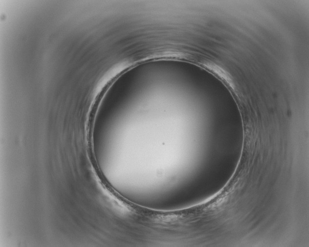 X0000062171135200512121234