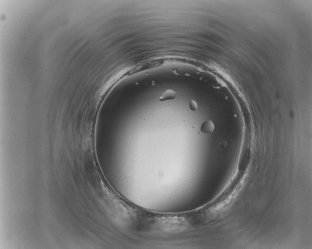 X0000062171137200512121234