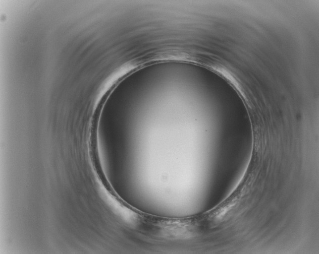 X0000062171139200512121234