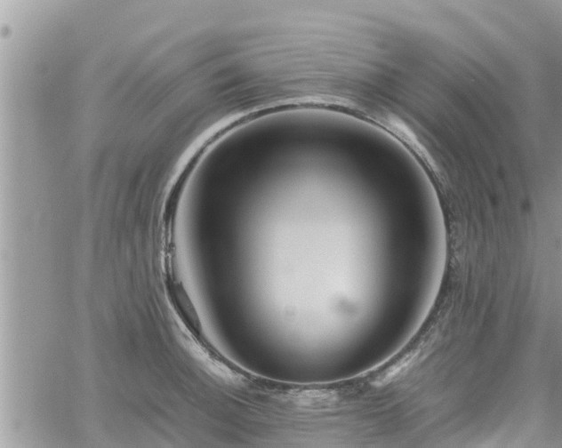 X0000062171140200512121234