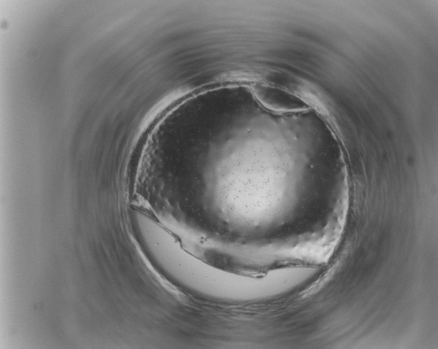 X0000062171141200512121234