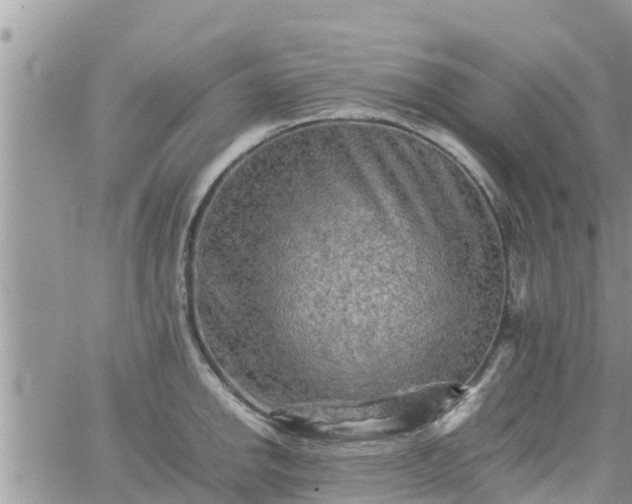 X0000062171142200512121234