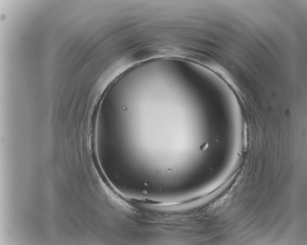 X0000062171143200512121234