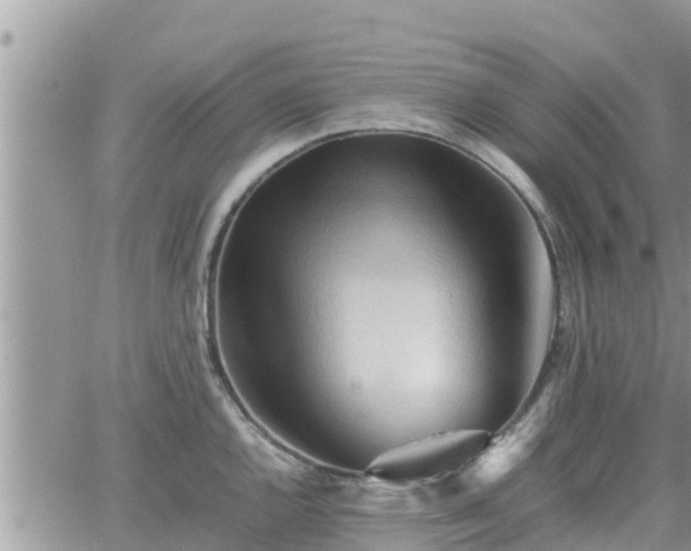 X0000062171144200512121234