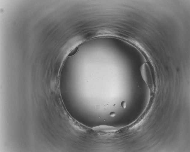 X0000062171145200512121234