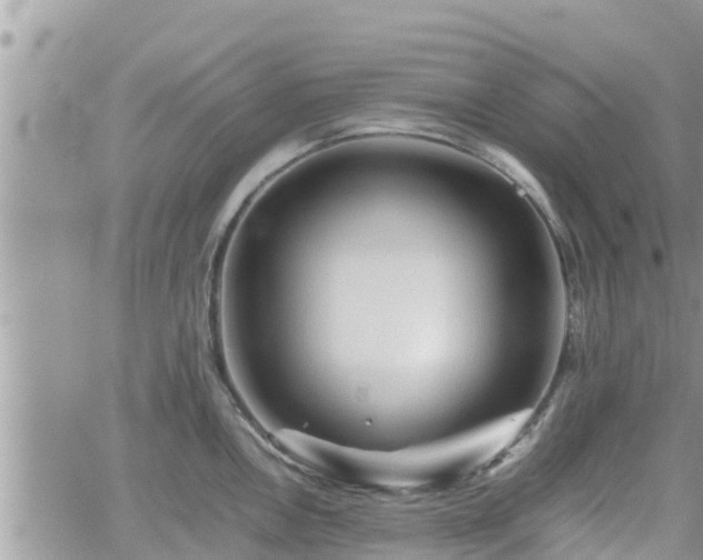 X0000062171146200512121234