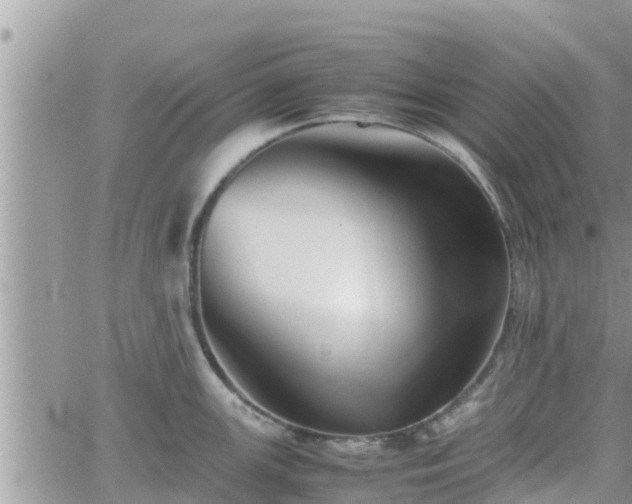 X0000062171147200512121234