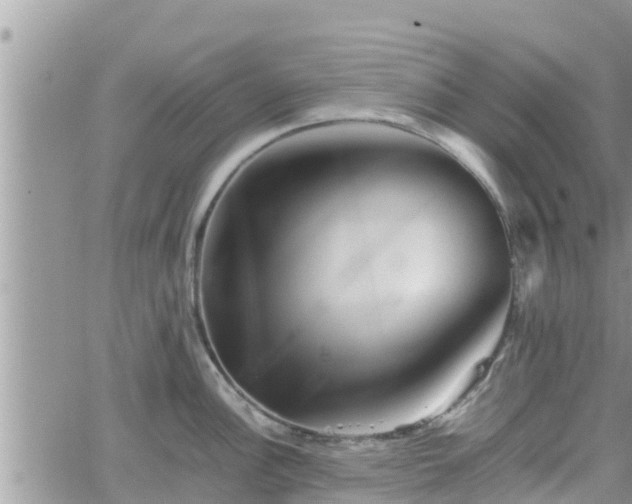 X0000062171148200512121234