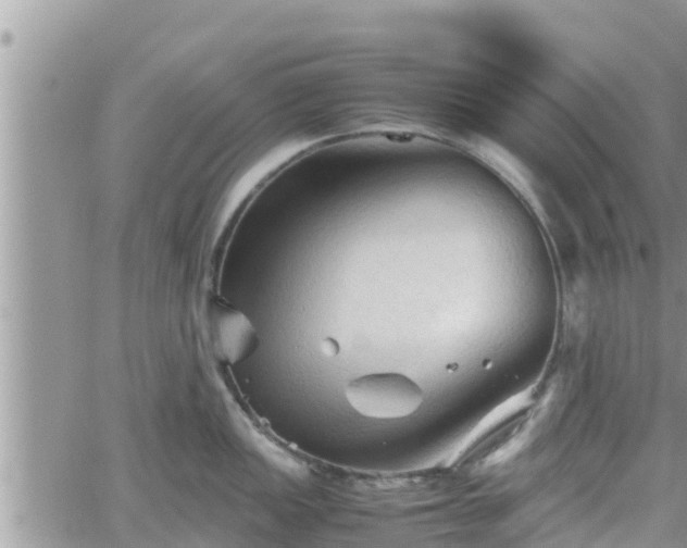 X0000062171149200512121234