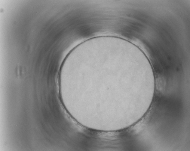 X0000062171150200512121234