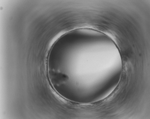 X0000062171151200512121234