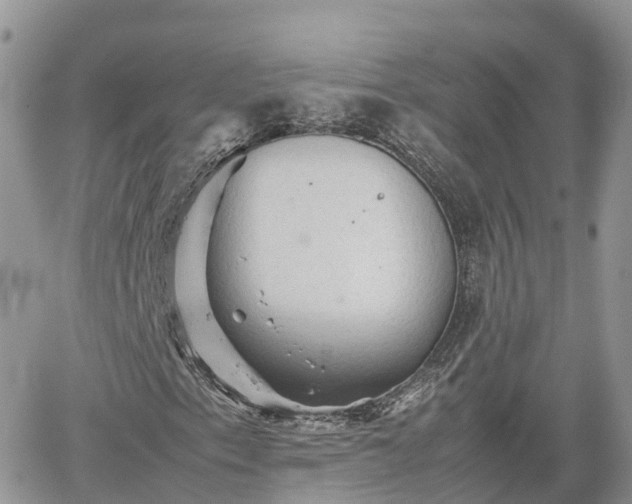 X0000062171153200512121233