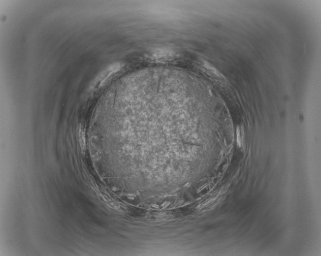 X0000062171155200512121233