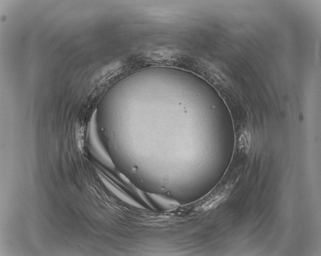 X0000062171156200512121233