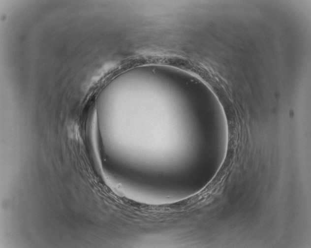 X0000062171157200512121233