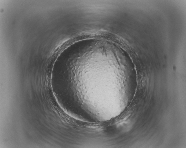 X0000062171158200512121233