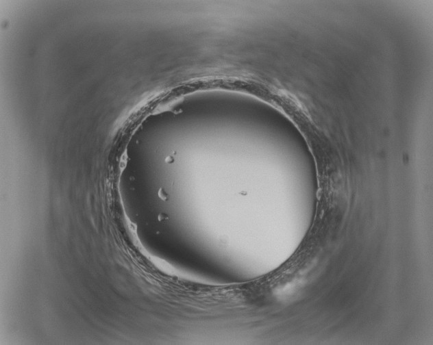 X0000062171159200512121233