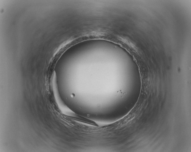 X0000062171160200512121233