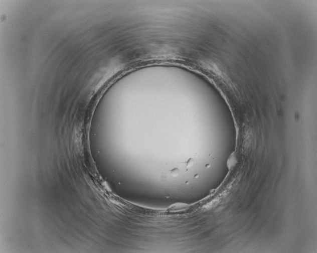 X0000062171162200512121233