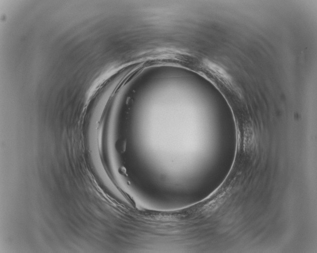 X0000062171164200512121233