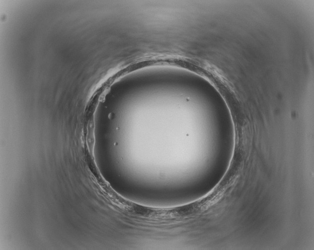 X0000062171165200512121233